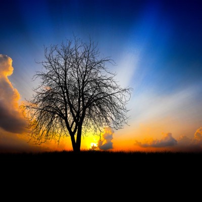 1920 x 1080 HD Wallpapers 2428